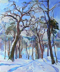 Sonniger Winterwaldweg