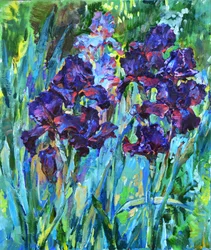 Lebendige violette Schwertlilien