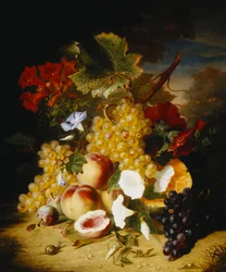 Pfirsiche, Trauben, eine Melone, Winden und andere Blumen in einer Landschaft