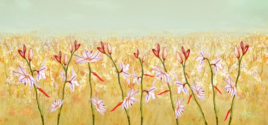 Goldene Feldblüten