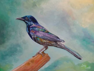 Schillernder Vogel auf Ast