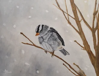 Ruhiger Winterspatz