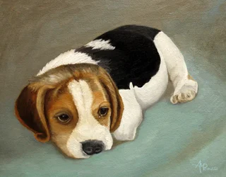 Trauriger Beagle-Welpe