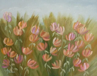 Lebendige Blumenwiese