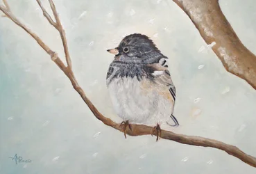 Winter-Juncovogel