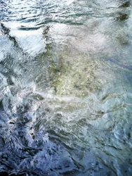 Klares Wasserfließen