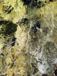 Goldener Flusslauf
