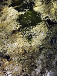 Goldenes Wasserschimmern