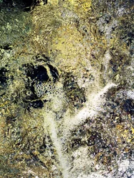 Flüssiges Gold (3)