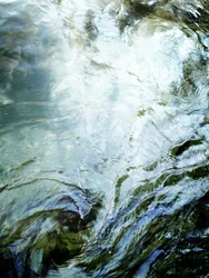 Gelassene Wasserringe