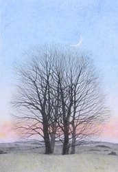 Neumond, 2011