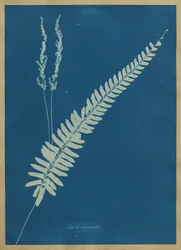 Südamerika
