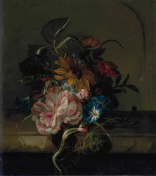 Sonnenblume, Winde und zweifarbige Tulpe