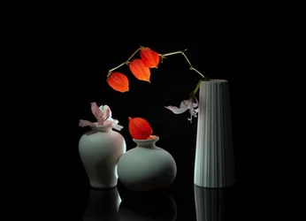 Elegantes Blumenstillleben