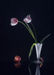 Elegantes Tulpen Stillleben