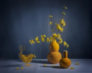 Goldenes Forsythien-Stillleben