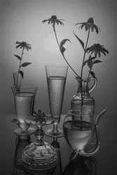 Monochrome Blumen und Glas