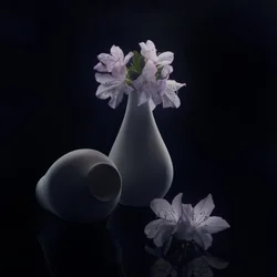 Stimmungsvolle Blumen und Vasen