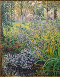 Blumen im Garten