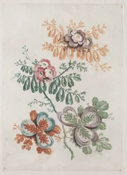 Neue Suite von Blumenportfolios ideal zum Entwerfen und Malen: Blumenfantasien, um 179