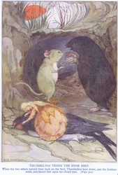 Däumelinchen pflegt den armen Vogel