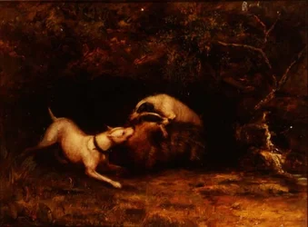 Hunde, die einen Dachs hetzen, ca. 1870