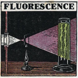 Fluoreszenz: Nachweis der Fluoreszenz von Körpern. Anonyme Illustration von 1925. Private Sammlung.