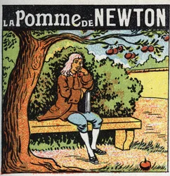 Gravitation: Newtons Apfel. Isaac Newton (1642-1727) beobachtet, wie ein Apfel von einem Apfelbaum fällt, und entdeckt die Gesetze der Erdanziehungskraft (Gravitation). Anonyme Illustration von 1925. Privatsammlung.