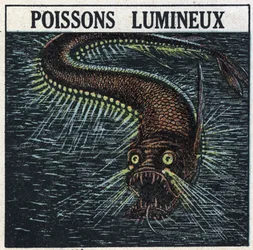 Phosphoreszenz: leuchtender Fisch. Anonyme Illustration von 1925. Private Sammlung.