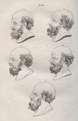 Physiognomie - Mehrere Köpfe des griechischen Philosophen Sokrates (ca. 469 v. Chr.-399 v. Chr.), Gravur von 1808 in „Die Kunst, Menschen durch Physiognomie zu erkennen“ von Johann Gaspar Lavater