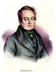 Porträt von Francois Magendie (1783-1855) Arzt und Physiologe, Private Sammlung