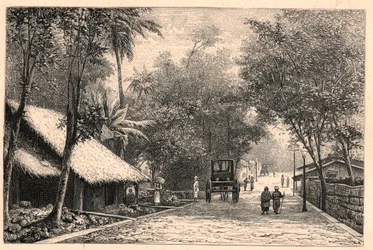 Ansicht einer Straße in Colombo auf Ceylon (Sri Lanka). Gravur in „Les Missions Catholiques au XIXème Siècle“ von Louis-Eugène Louvet. Private Sammlung.