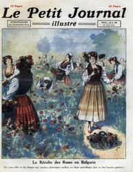 Junge Frauen in traditioneller bulgarischer Tracht pflücken Rosen zur Herstellung von Rosenwasser. Illustration aus „Le petit journal illustrious“ vom 12.06.1921. Private Sammlung