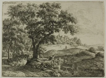 Der Waldrand