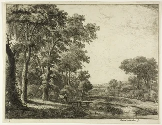 Der Eingang zum Wald an der kleinen Holzbrücke