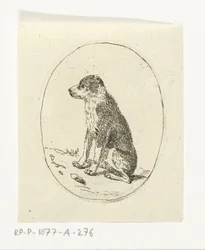 Sitzender Hund