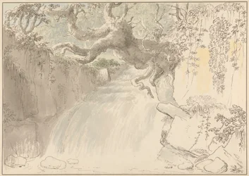 Wasserfall und Baumstamm