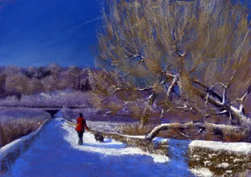Winterspaziergang, 2012