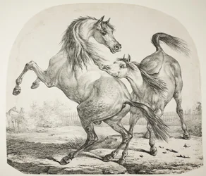 Wilde Pferde kämpfen, ca. 1820