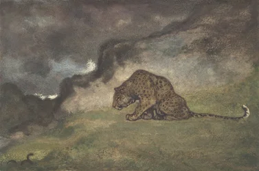 Leopard beobachtet Schlange