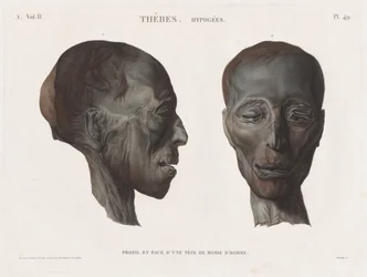 Beschreibung von Ägypten: Theben. Hypogäen Bd. II, Pl. 49