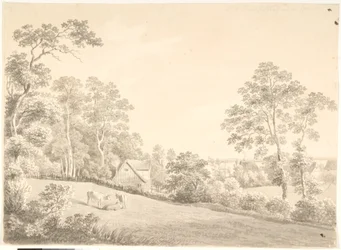 Landschaft mit Haus und Kühen an der Elbe