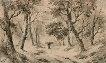 Ein Holzsammler im Wald