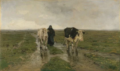 Weidegang