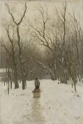 Winter in den Scheveninger Wäldern