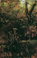 Waldlichtung mit Disteln