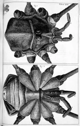 Mikroskopie