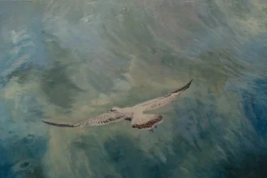 Möwenflügel ausgebreitet, 2012
