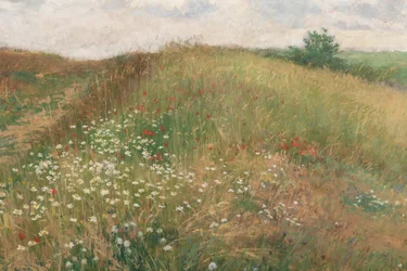 Sommer, 1897