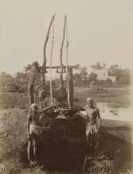 Sehadouf, Luxor